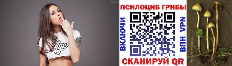 наркота Калязин Псилоцибиновые грибы прущие грибы